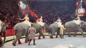 МОСКОВСКИЙ ЦИРК НА ВЕРНАДСКОГО-САМЫЙ БОЛЬШОЙ ЦИРК. МЫ НАСЛАЖДАЛИСЬ ПРЕДСТАВЛЕНИЕМ.