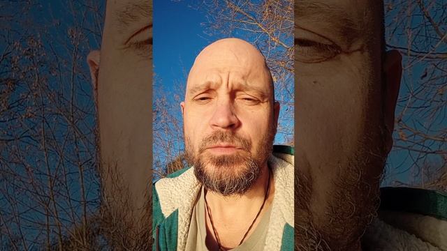 контакт с реальностью