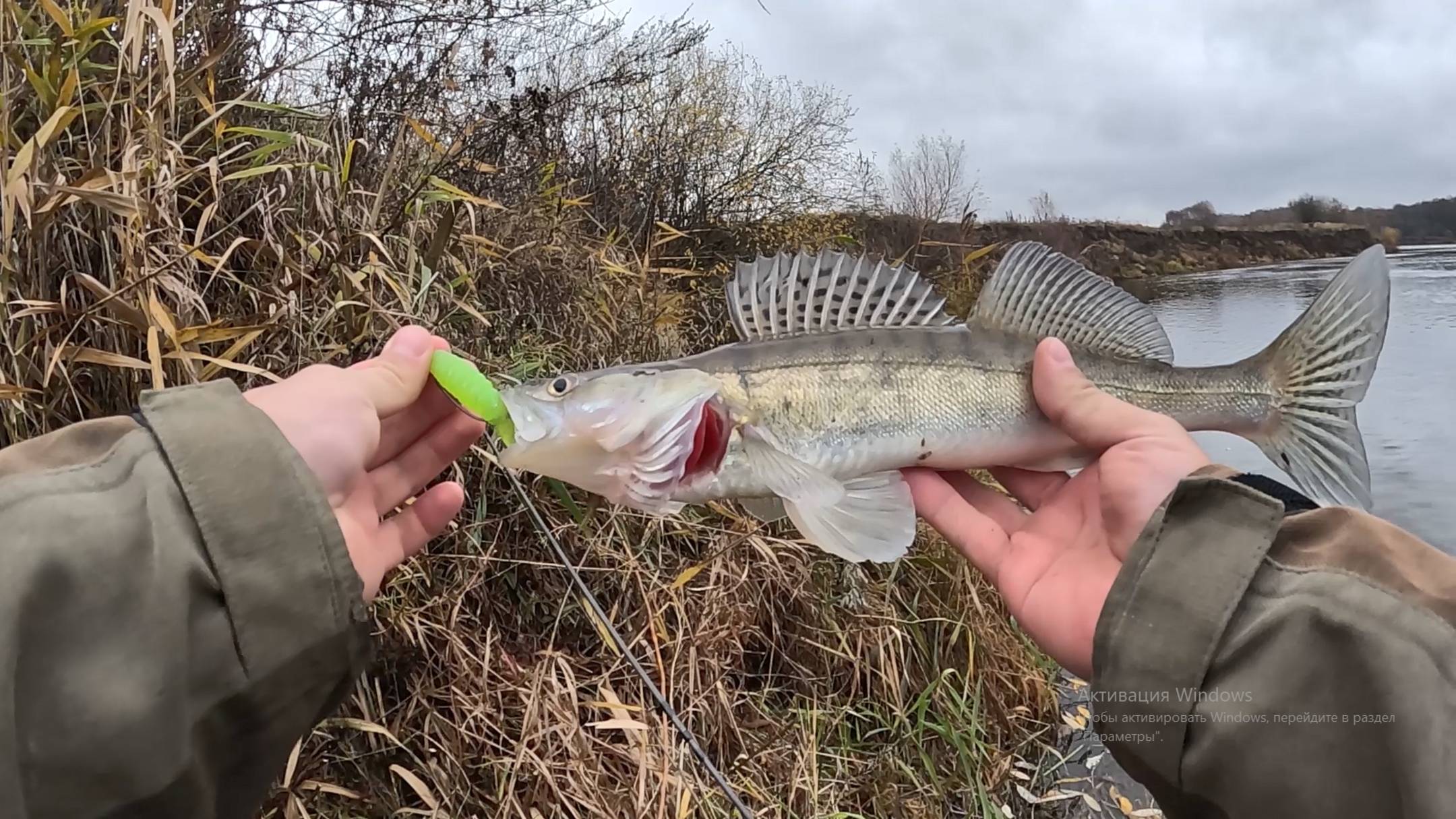 ОСЕННИЙ ЖОР. ЩУКА и СУДАК НА СПИННИНГ с берега смотреть онлайн