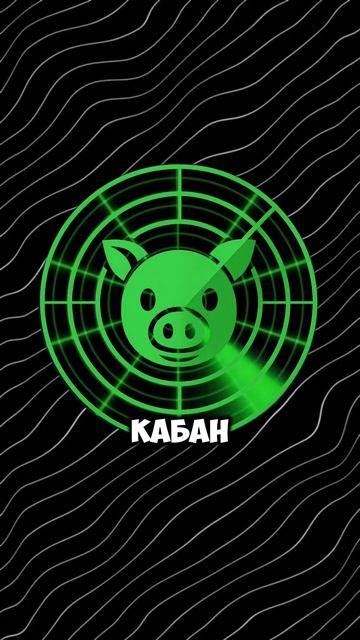 КАБАН – НЕ ИДИОТ! #тепловизор #охота #тепловизордляохоты #оружие #патрон смотреть онлайн