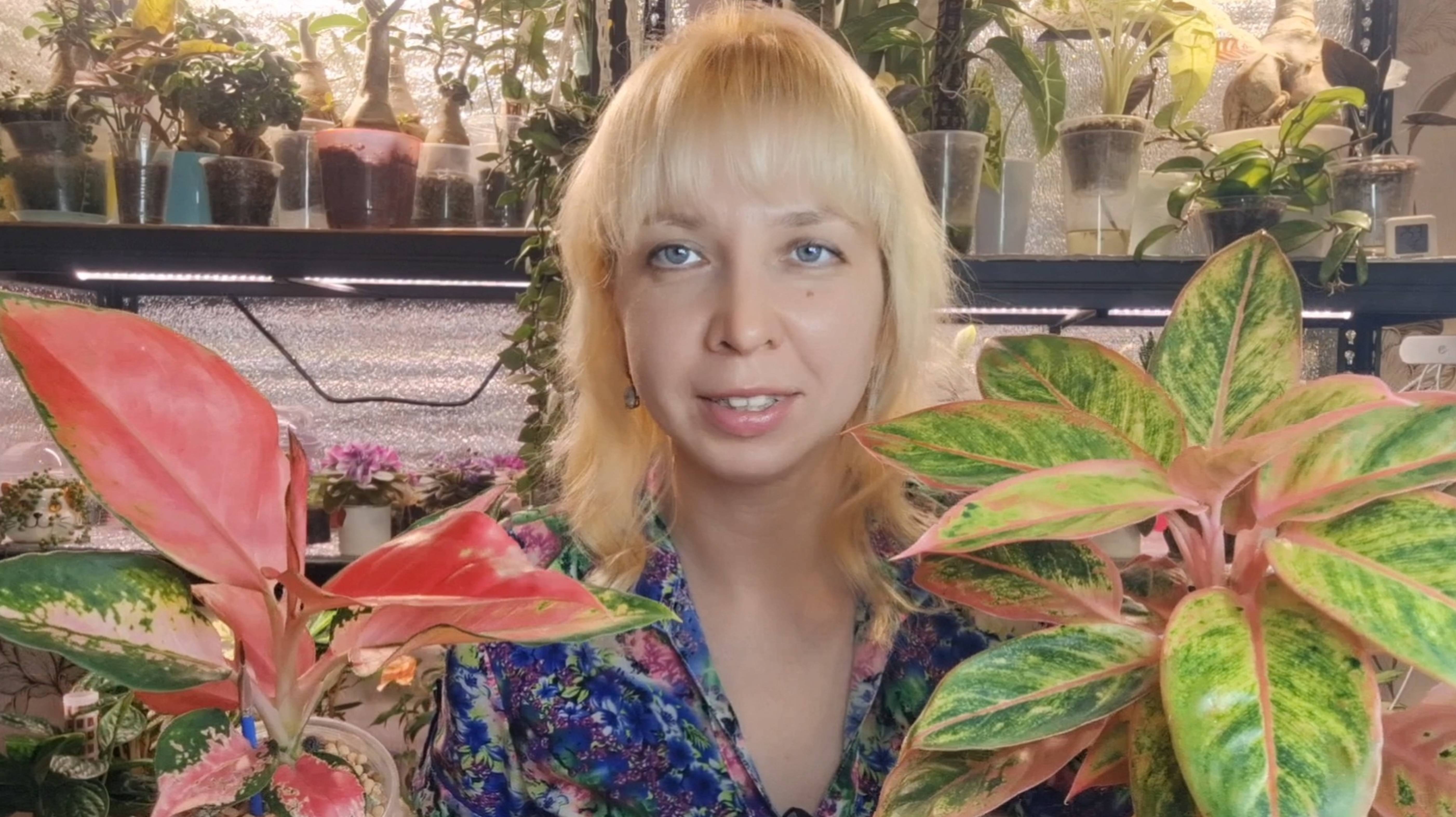 Растения с яркой расцветкой смотреть онлайн