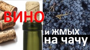 Домашнее вино и чача из одного винограда