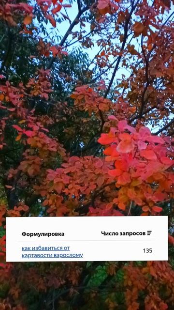 Видео только для 135 человек... смотреть онлайн