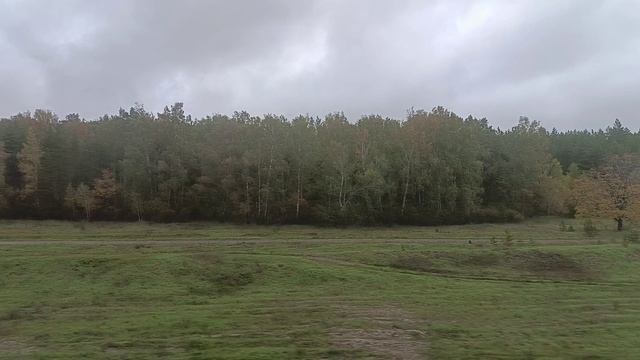 Вид из окна поезда