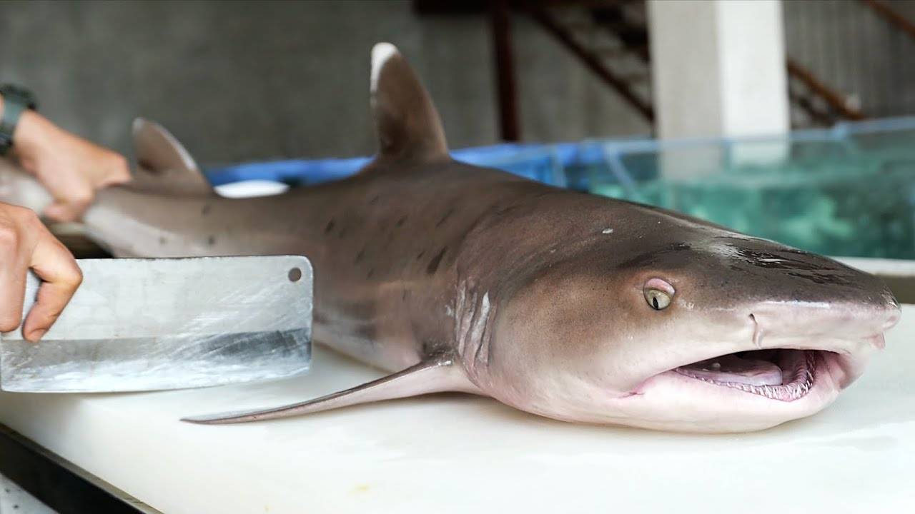 Вьетнамская уличная еда - ГИГАНТСКАЯ АКУЛА 10 КГ смотреть онлайн