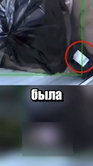 Замаскировался под мусорный мешок