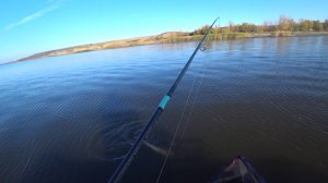 вот это раздача цимлянский судак в октябре стал на точку и понеслось #судак #цимла #дон #рыбалка