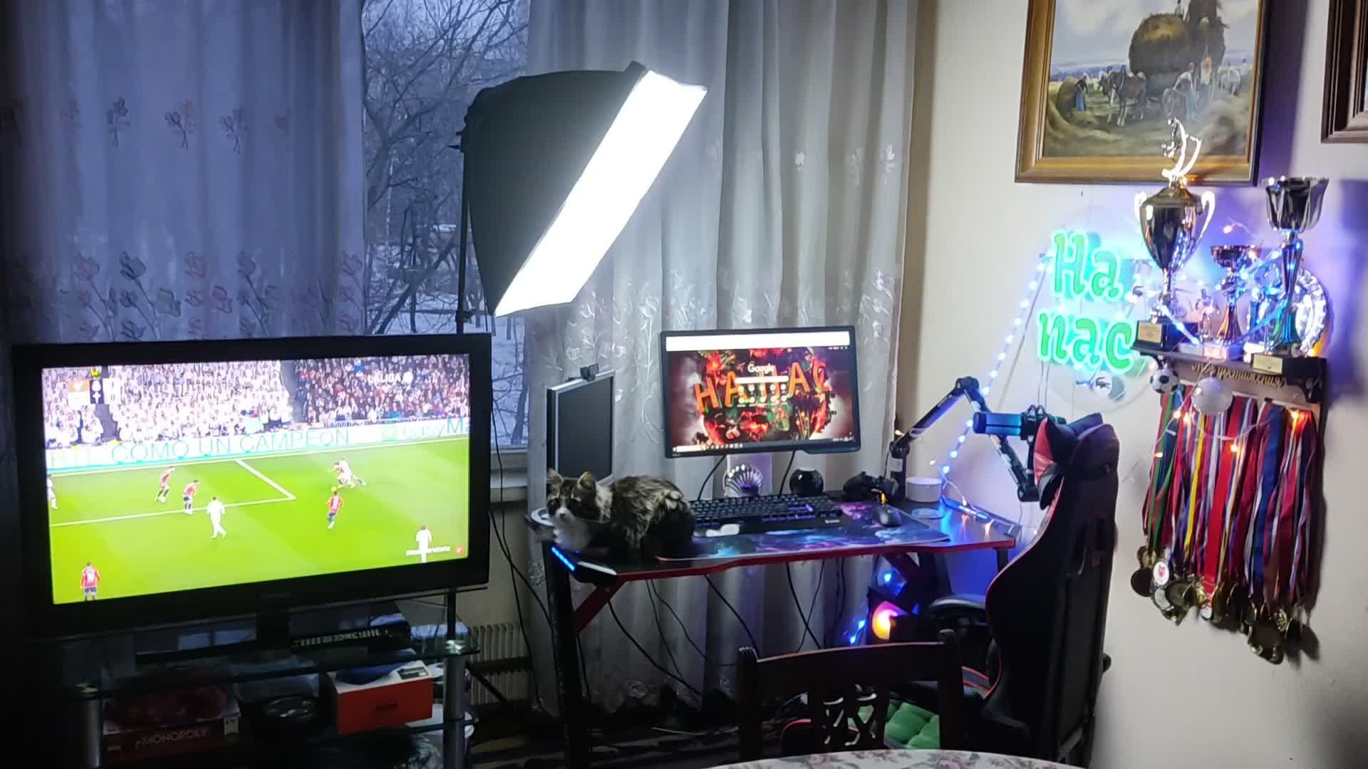 Стрим выходного дня смотреть онлайн