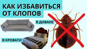 КАК ИЗБАВИТЬСЯ ОТ КЛОПОВ В ДИВАНЕ И МАТРАСЕ: БЫСТРО И НАВСЕГДА