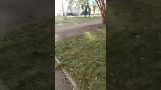 мой первый влог #1 смотреть онлайн
