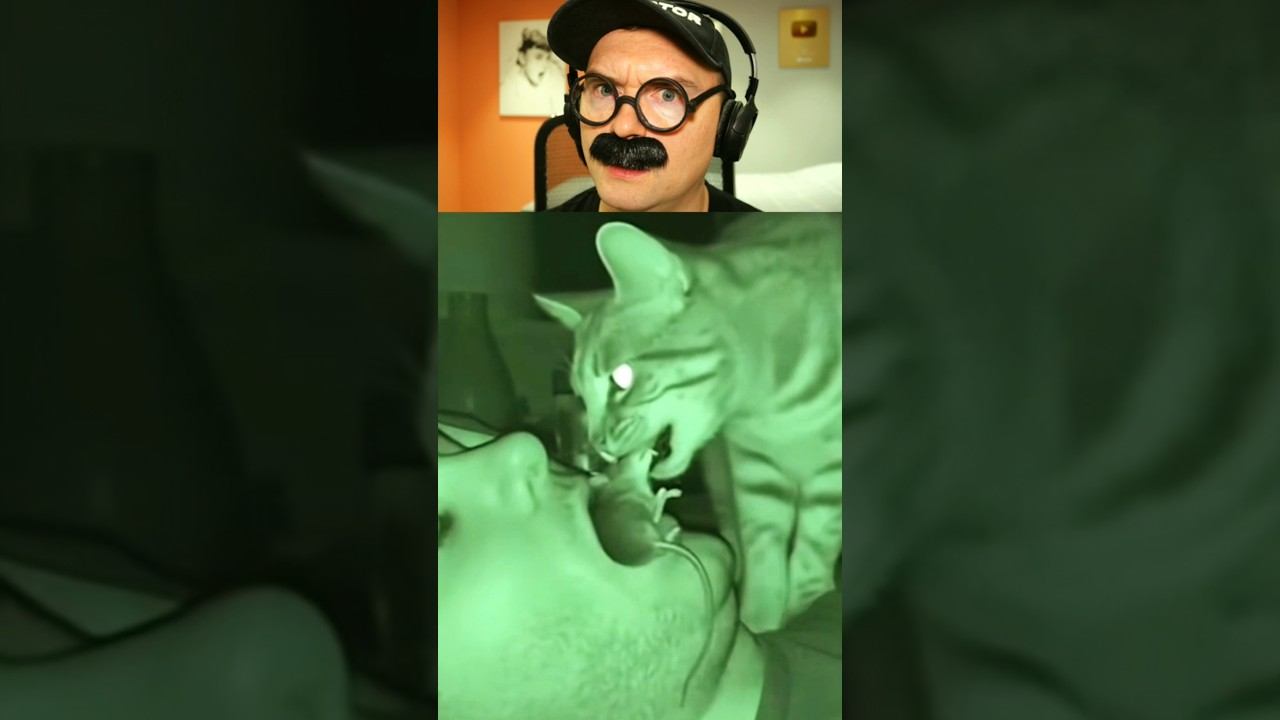 Накормила хозяина смотреть онлайн