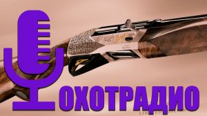 ОХОТРАДИО / ПОЧЕМУ ОХОТНИКИ ИЗБАВЛЯЮТСЯ ОТ ОРУЖИЯ В 2025 ГОДУ