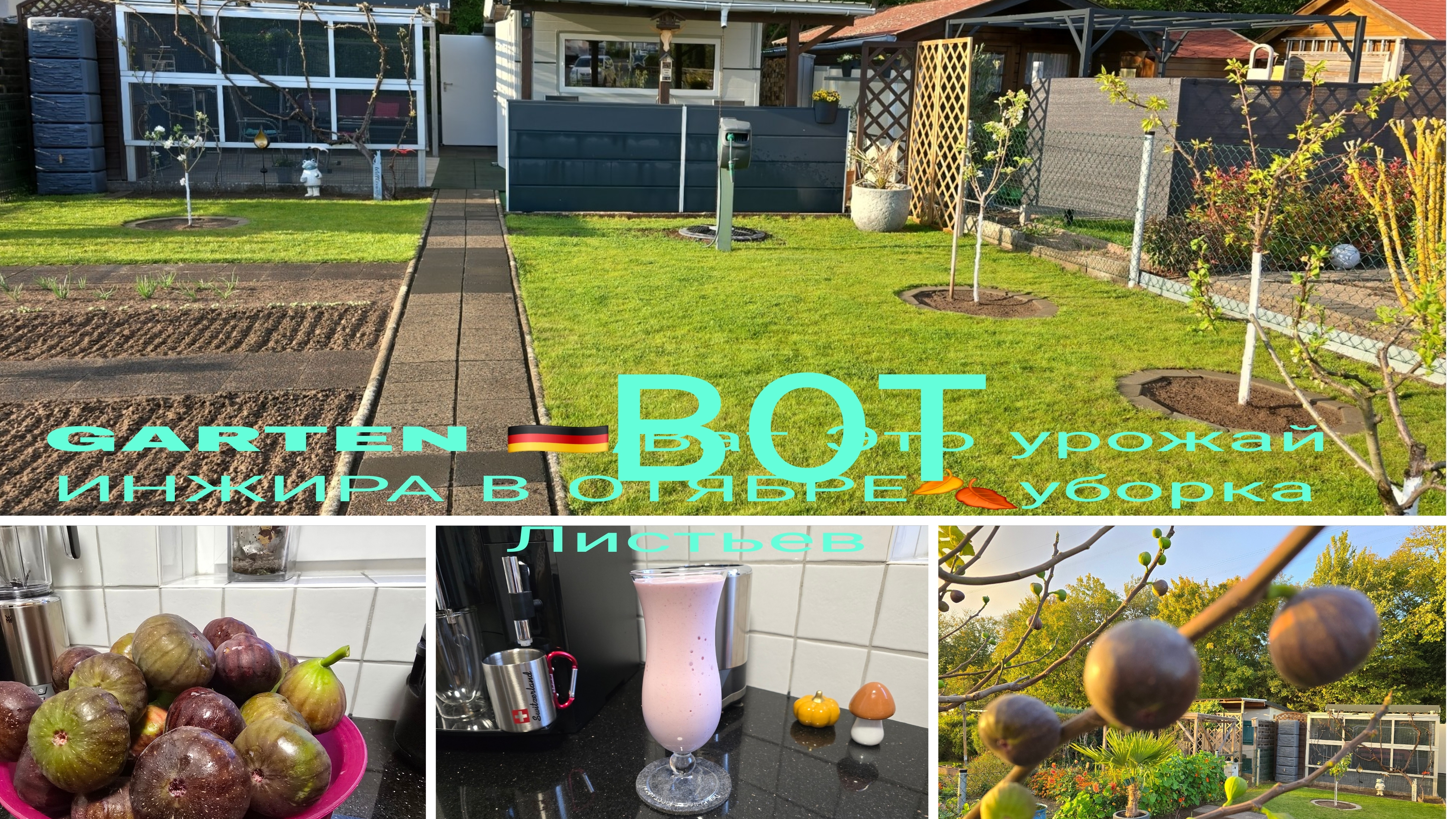 РАБОТА НА ДАЧЕ🏕🔥УБИРАЮ ЧИСТКА ГРЯДОК /КРОТ Все роет и роет / смотреть онлайн