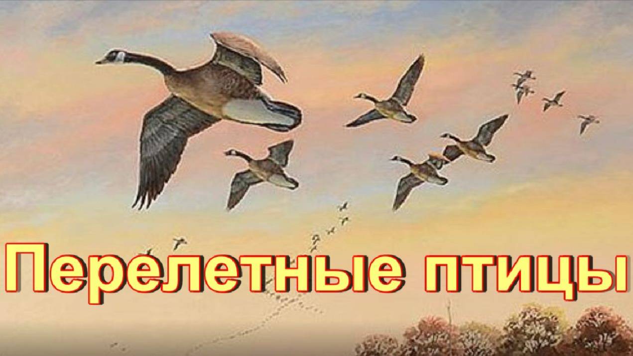 Перелетные птицы осенью. смотреть онлайн