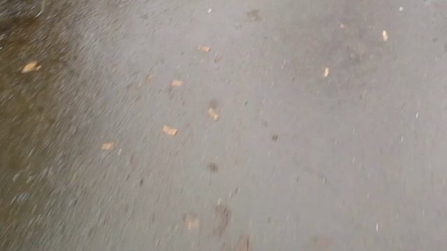 Подсказка...