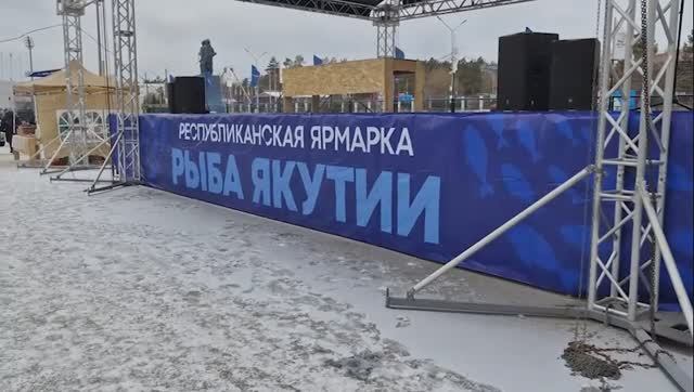 Ярмарка "Рыба Якутии" днем 24 октября 2025 года! Купили ряпушку по 320, омуля по 420 рублей! смотреть онлайн