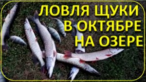 Ловля щуки на озере в октябре