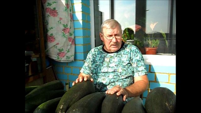 Кабачок СКВОРУШКА