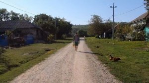 Мимо текла текла река. Братья из Михайловки