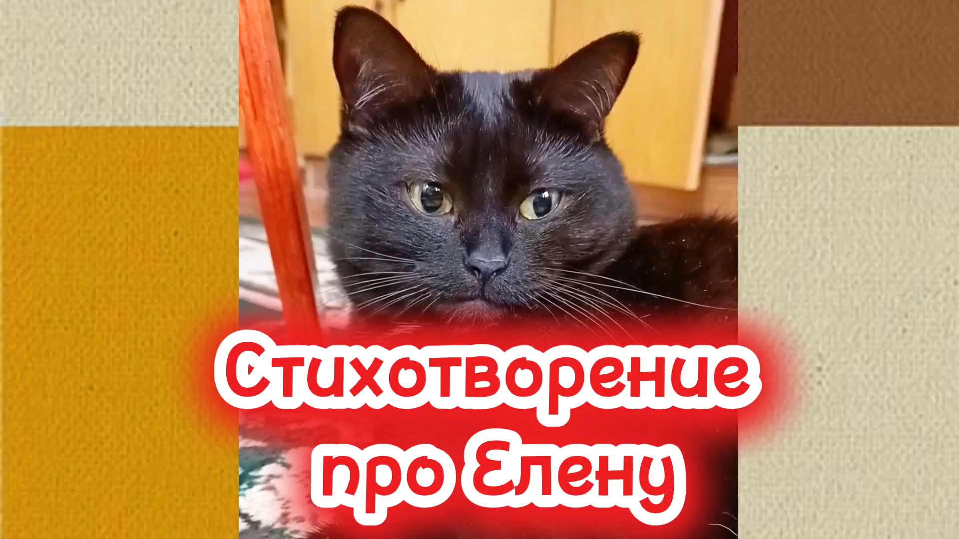 Кошки с озвучкой. смотреть онлайн