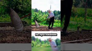 Отцовский сюрприз