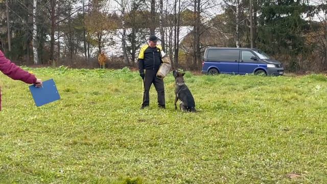 3 Отл. Фрай Винд КАТАНА +++ №48. ТВЕРЬ 12 октября`25 Моно немецких овчарок смотреть онлайн