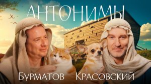 Владимир Бурматов: не бывает опасных собак, бывают опасные хозяева