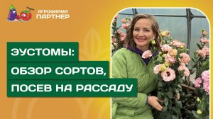 ЭУСТОМЫ, В КОТОРЫЕ НЕВОЗМОЖНО НЕ ВЛЮБИТЬСЯ // Коллекция 2025