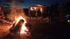 СЛЕТ КЛАДОИСКАТЕЛЕЙ 2025! КОП МОНЕТ В ДЕРЕВНЕ КОТОРОЙ 400 ЛЕТ