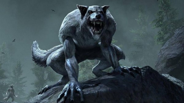 TESO BattleGrounds WW | 1