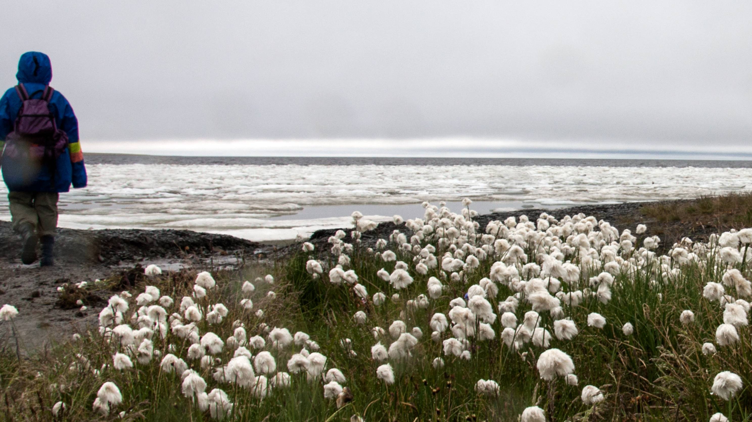 Точка на карте