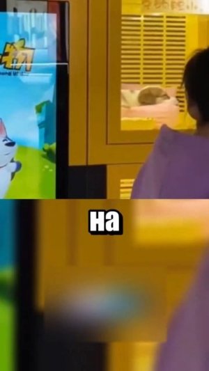 Зоозащитники против вендинговых автоматов