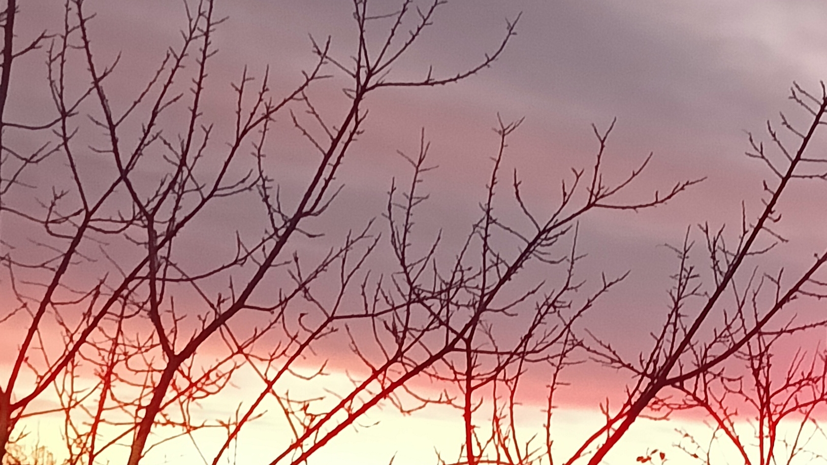 КОНКУРС НА ЛУЧШИЙ АРТ смотреть онлайн