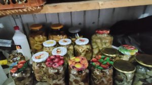 Жизнь в деревне 🏡 // вечно голодные 🥴//