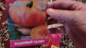 Пришли через Вайлдберриз семена томатов и перцев от Медведева. Вымыла окна. К зиме готовы!