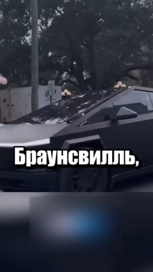 Если бы все статуи мира ожили...