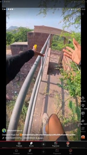 SVID_20251025_104003_1.mp4