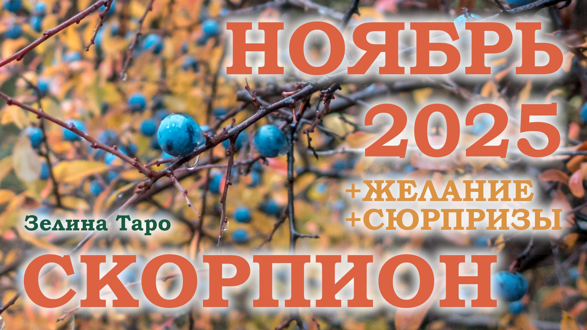 СКОРПИОН | ТАРО прогноз на НОЯБРЬ 2025 года | Желание | Сюрпризы | Расклад таро смотреть онлайн