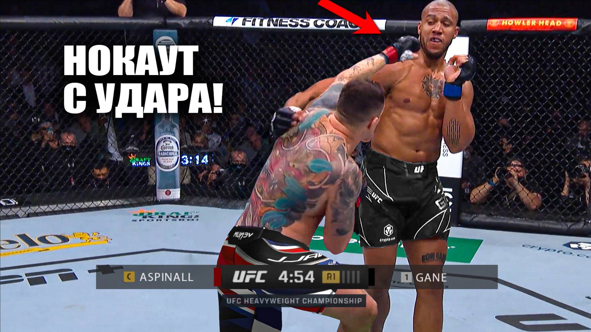НОКАУТ ГОДА С УДАРА! Бой Том Аспиналл vs Сирил Ган UFC 321 / СМОТРЕТЬ ПРЯМОЙ ЭФИР ЮФС АБУ-ДАБИ смотреть онлайн