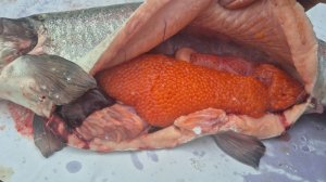 ТАКАЯ РЫБАЛКА 🤣ТОЖЕ БЫВАЕТ...ВСТРЕТИЛИ СТУДЕНТА