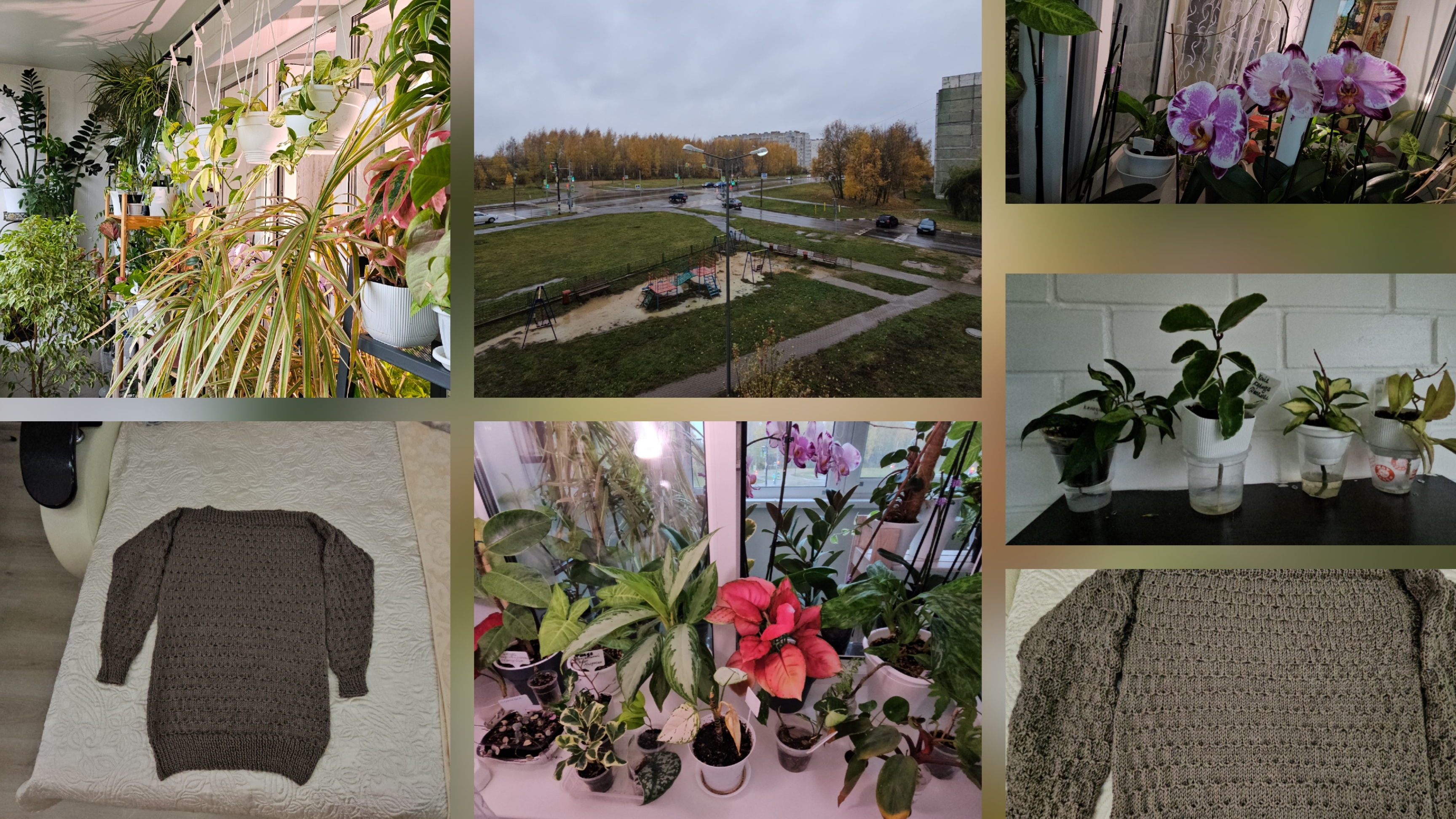 25.10.2025 г Мои хобби/ Комнатные растения/ Моё вязание смотреть онлайн