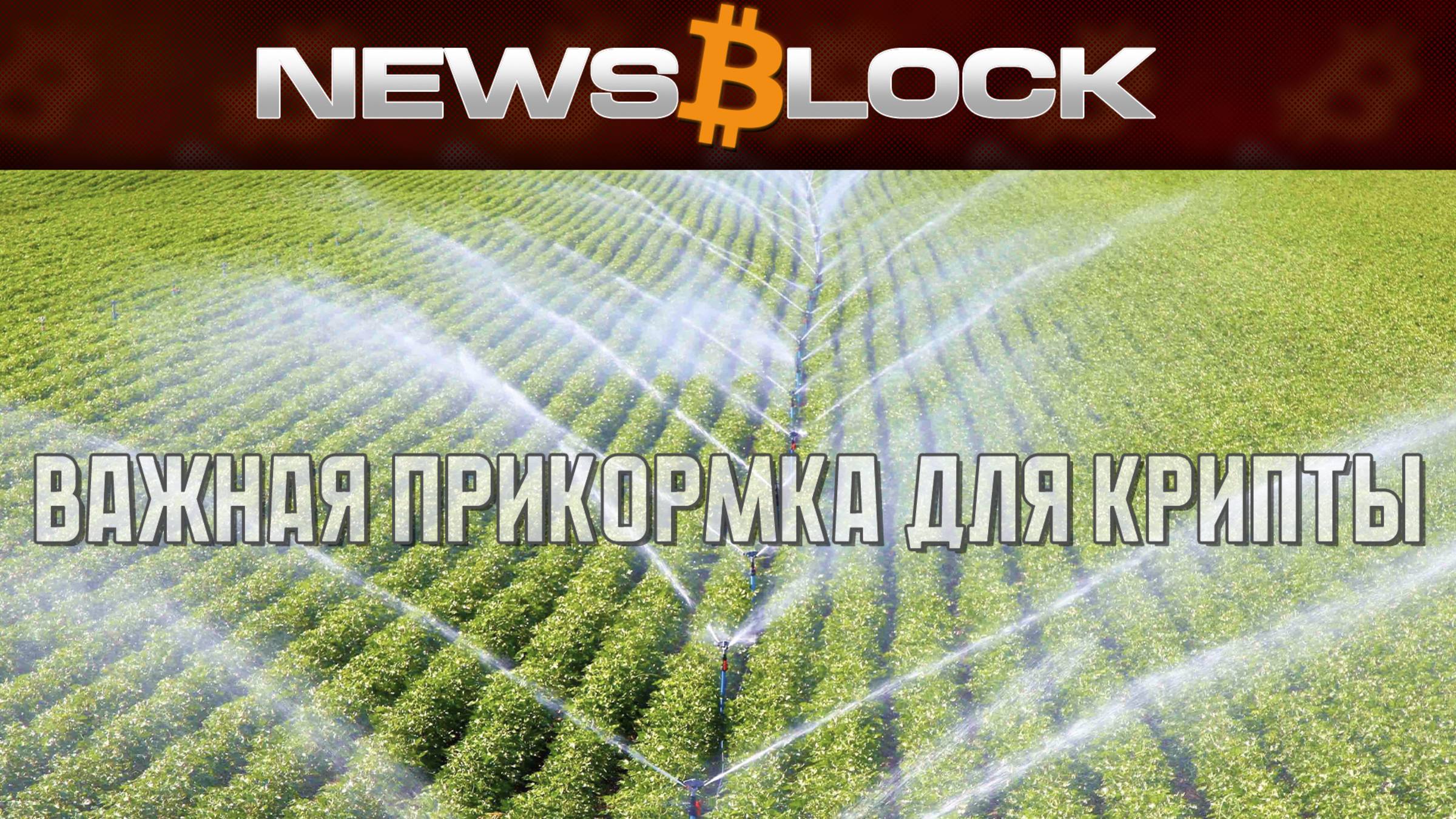 Подкормка Крипто-Урожая: Два Удобрения Для Мощной Бычки смотреть онлайн