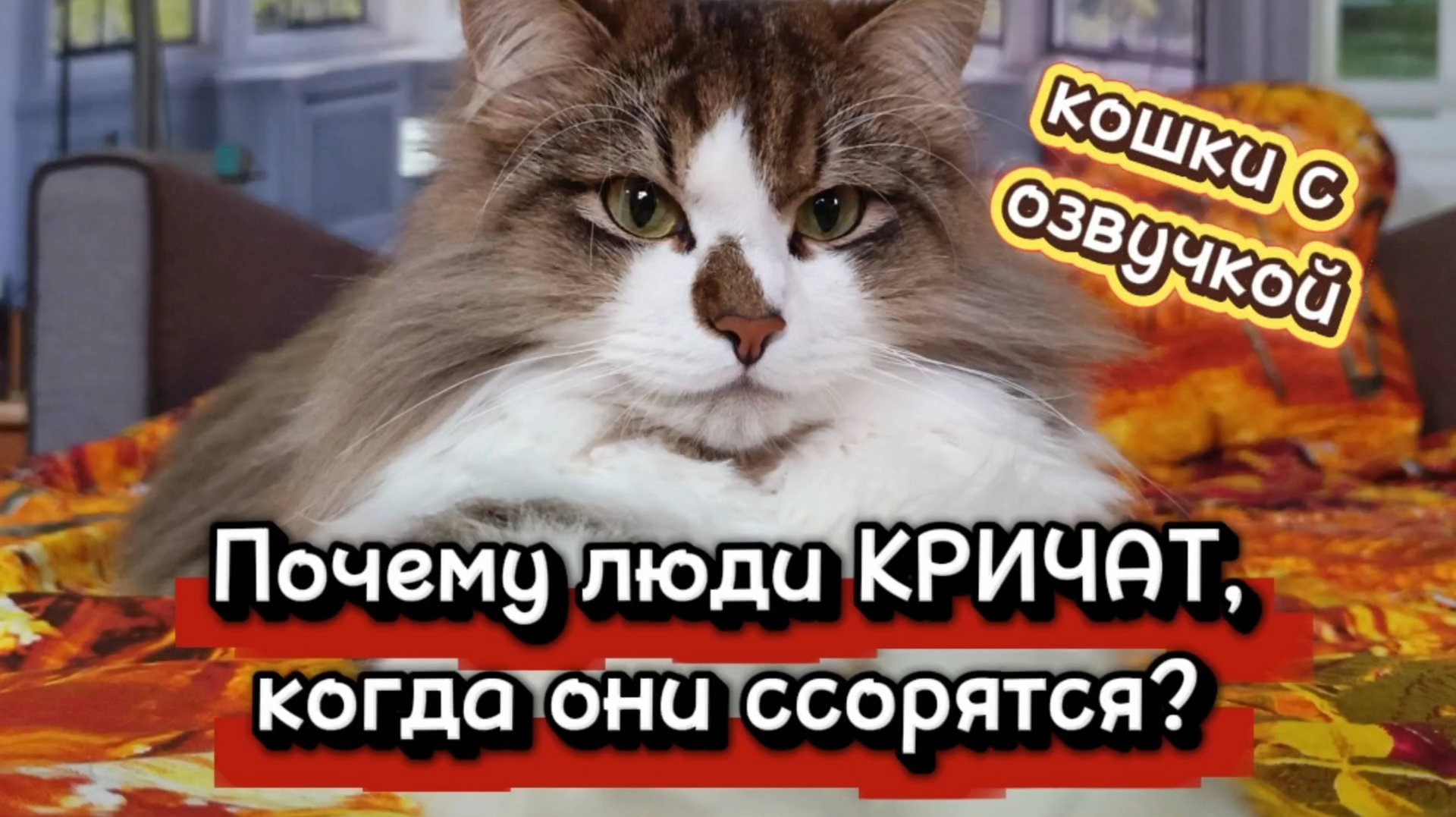 КОШКИ С ОЗВУЧКОЙ. смотреть онлайн