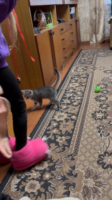 Сёма прыгает смотреть онлайн