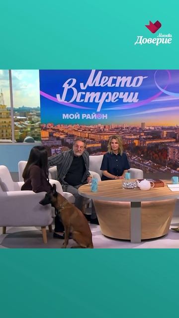 Похожи ли питомцы и хозяева? смотреть онлайн