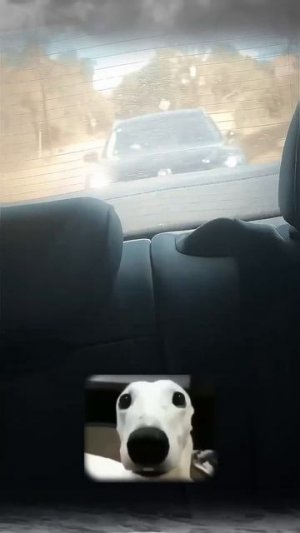 Внезапная концовка. Нежданул