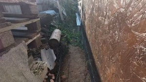 Жена - блогер: благо или наказание?