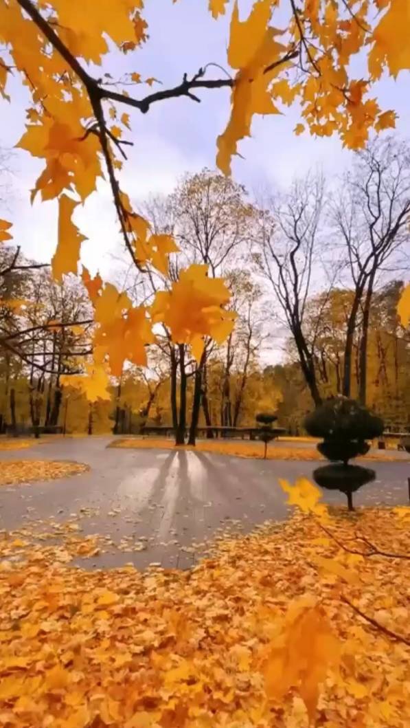 Всё пройдёт ... смотреть онлайн