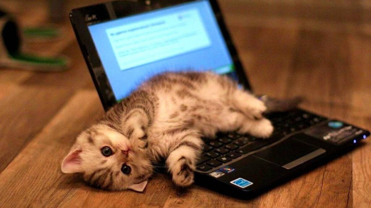 ЭЛЕКТРОНИКА ТА1-003 Починяем, залипаем, засыпаем))) (первый выпуск)- 2204320342997865 донат на ночь