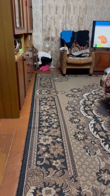 Сёма бегает смотреть онлайн